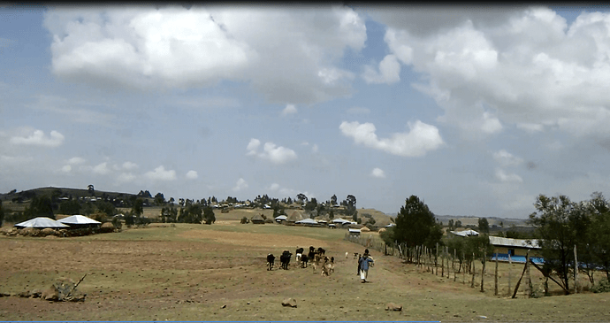 Abyssinie le toit de l’Afrique - chgut
