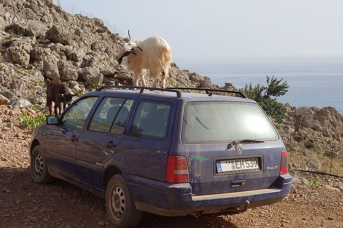 Rent a wreck und absolut verboten .... - Gilles.