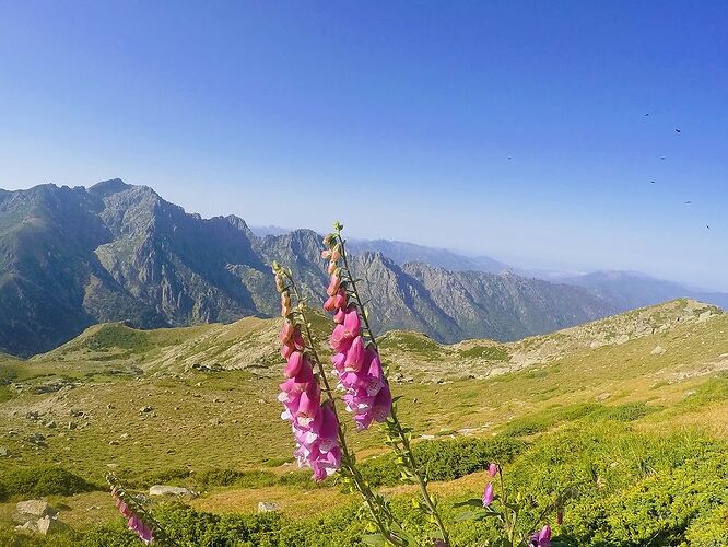 GR20 Sud-Nord 12 jours - Fousdetreks