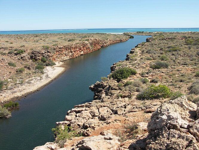 Re: 3 semaines à Perth en décembre - yensabai