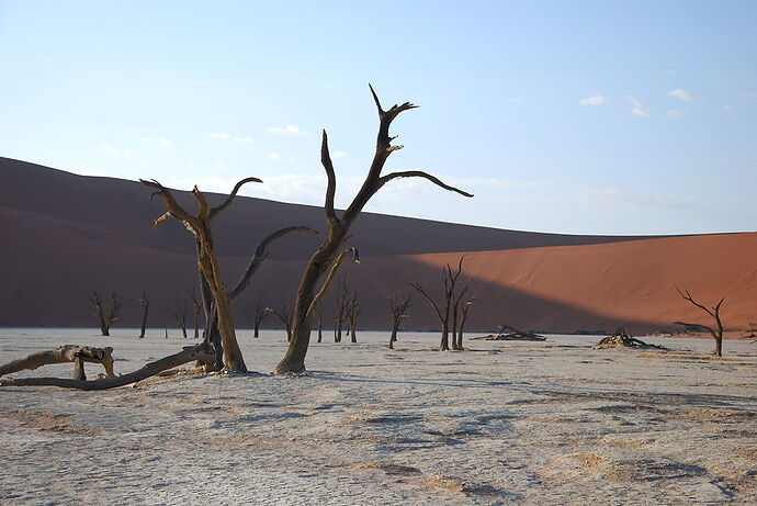 J14 - Dead vlei, Sossusvlei, Tsaris Mountains - llce