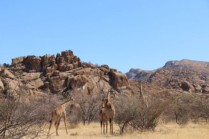 Re: La Namibie en mode tortue - Cathyves