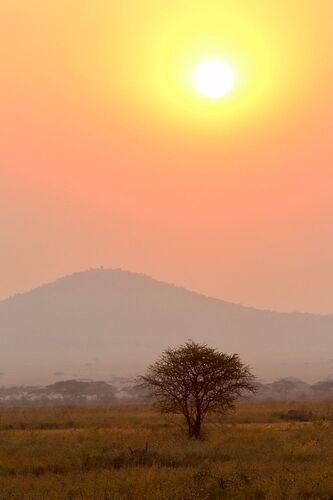 Voyage inoubliable en Tanzanie - CORADOM