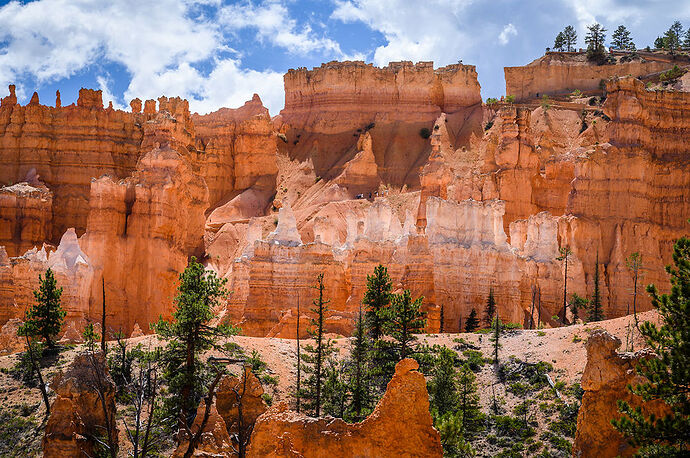 Mardi 9 août : Kodachrome State Park & Bryce Canyon - darth