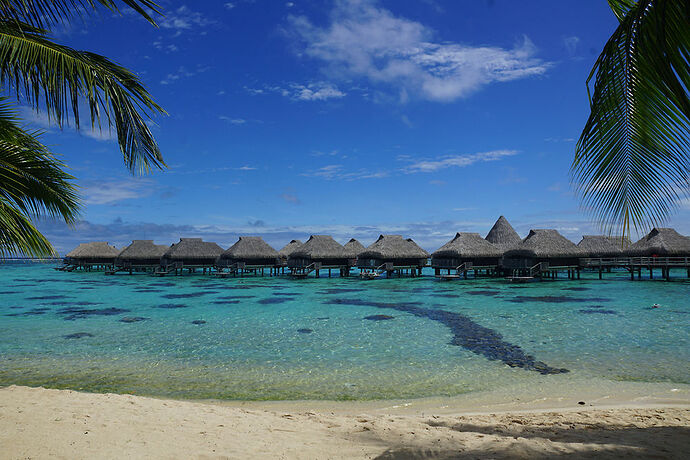 Retour sur découverte de Moorea 1 - cartesien