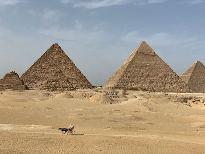 Re: Avis Terra trips super voyage en Egypte - marie guy91