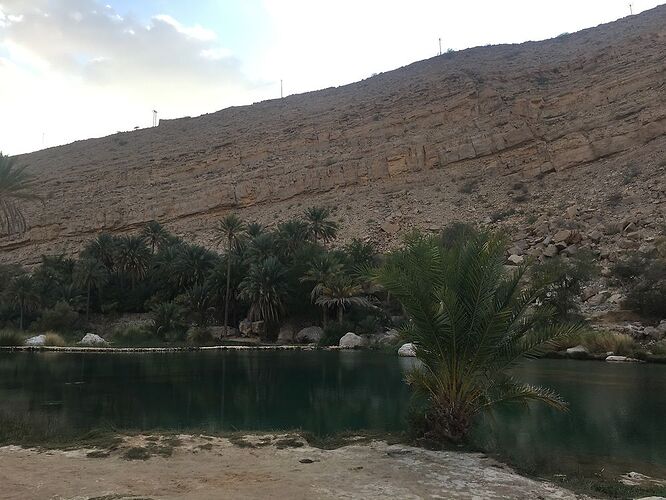 Re: De retour de deux semaines à Oman avec 3 jeunes enfants en camping sauvage - jmayo