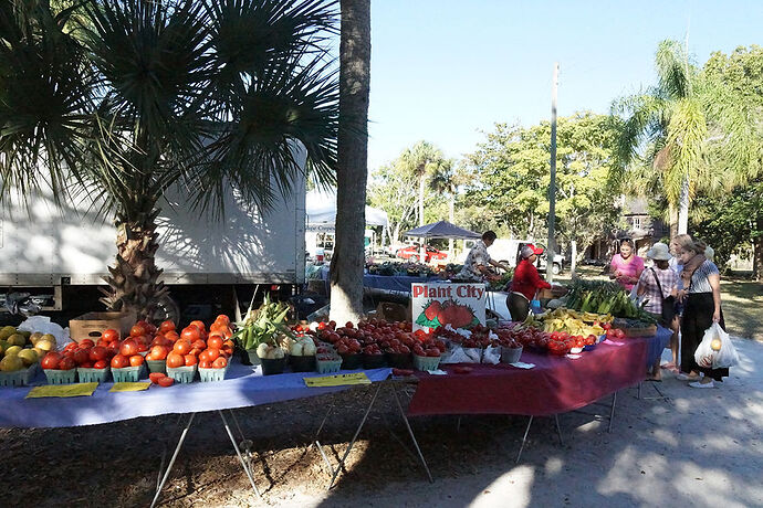 Découverte de La FLORIDE - du TAMIAMI TRAIL à FORT MYERS - cartesien