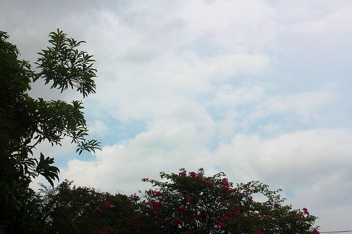 La météo journalière d'Iza à Siem Reap - IzA-Cambodia