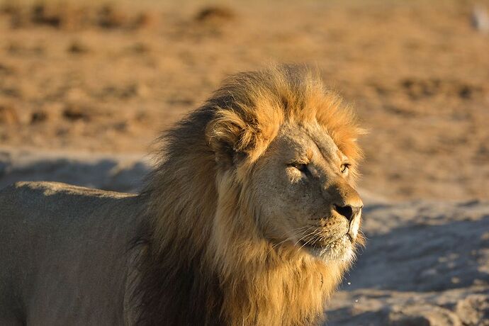 Re: Road book Botswana et questions - Luss93 Re: Road book Botswana et questions - Luss93