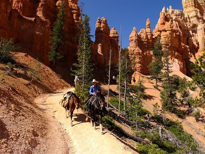 Balade à Cheval dans Bryce Canyon - rafa