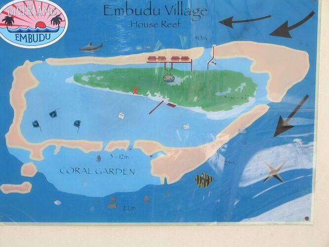 Re: Ou faire du Snorkle à Embudu Village ? - Marie Noëlle 87
