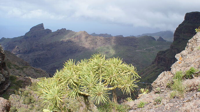 Mon voyage solo à Tenerife - Meuhlaine