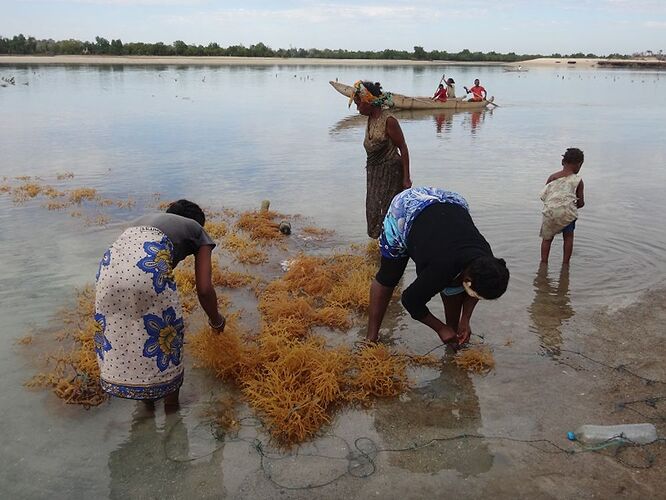 Re: retour de 5 semaines Madagascar - ANNICK Re: retour de 5 semaines Madagascar - ANNICK