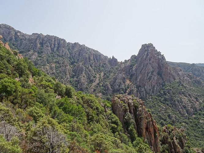 Re: 3 semaines de rêve en Corse - Fecampois