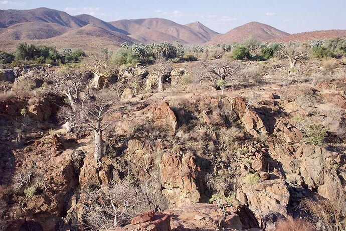 Re: 25 jours en Namibie en juillet 2021 - blueb