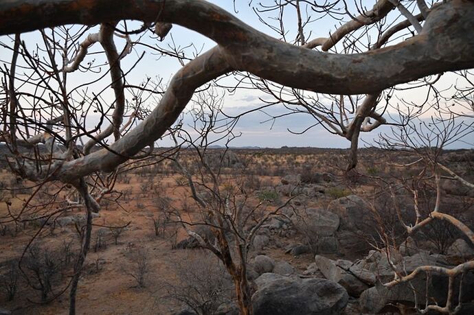 Re: Namibie - 15 jours en octobre 2018 - pascal41lc