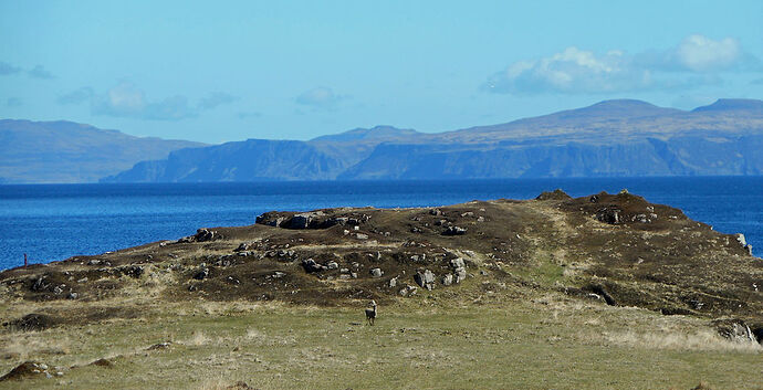 Falaises de l'île de Skye - calamity jane