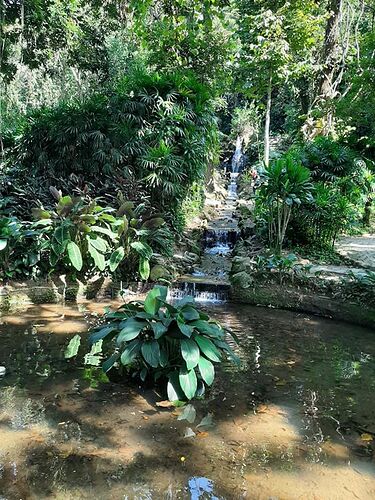 Parque Lage + Jardin Botanique Rio - France-Rio