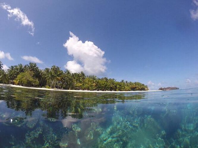 Météo de ce vendredi  Ari Atoll - Philomaldives Guide Safaris