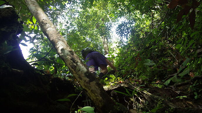 retour trekking Bukit Lawang - chgut