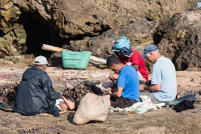 5 jours à Essaouira, une des perles de l'Atlantique, récit et photos - Sonia-Fatima Chaoui