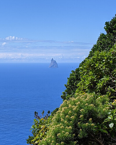 Randonnées et détente au plus près de la nature: 5 jours sur Lord Howe Island - exploringpaw