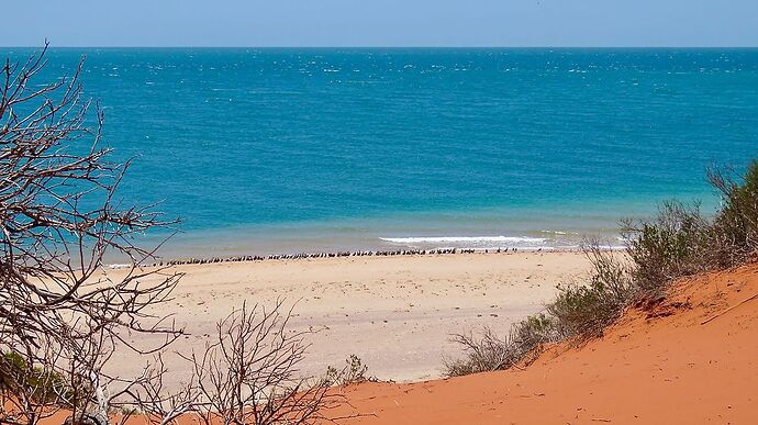 Re: Australie 2017, Côte Ouest de Broome à Perth - PATOUTAILLE