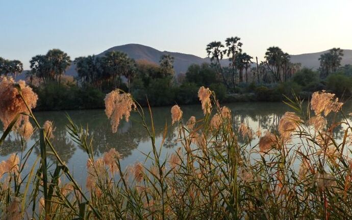 Re: 3 fabuleuses semaines Namibiennes- juillet 2021 - Patbillvoyage