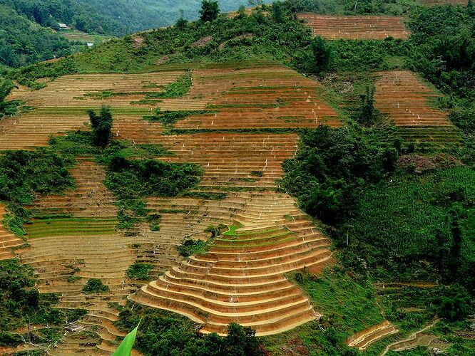 Re: 3937km au Vietnam: la traversée du Vietnam en scooter, de Saigon à Hanoi en passant par la Baie d'Halong et Sapa! - Abalone_vn