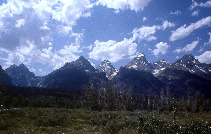 Re: Voyages entre l'Alberta et Yellowstone - yensabai