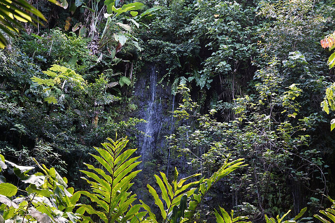 Découverte de la cote Ouest de Tahiti - cartesien