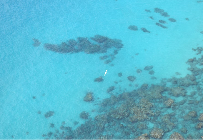 Randonnées et détente au plus près de la nature: 5 jours sur Lord Howe Island - exploringpaw