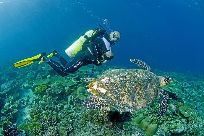 Re: Plongée et snorkeling aux Maldives - Philomaldives Guide Safaris