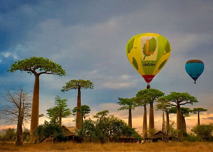 Re: Vol en montgolfière à Madagascar ? - fgourinel