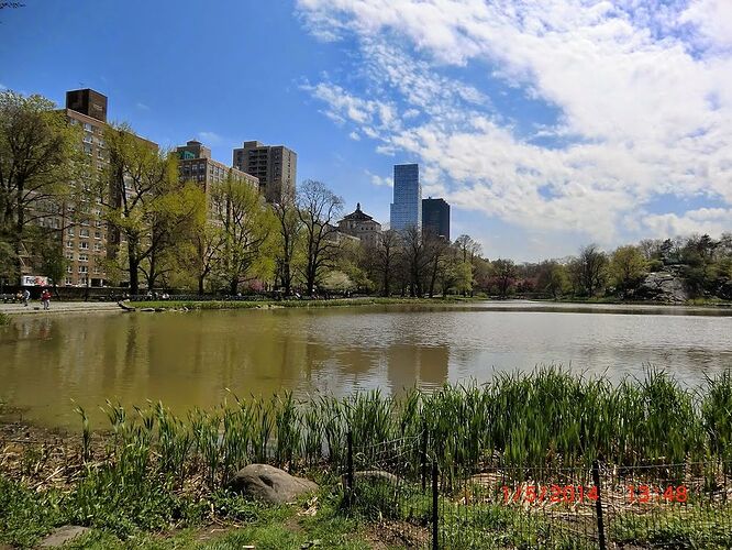 Re: Harlem meer dans central park, sécure ? - sourisgrise