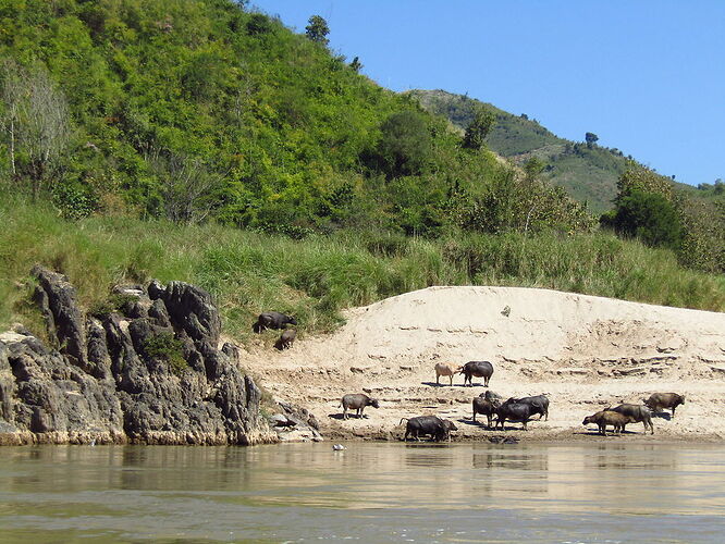 Du Sud au Nord, les milles couleurs du Laos - N-Gwen