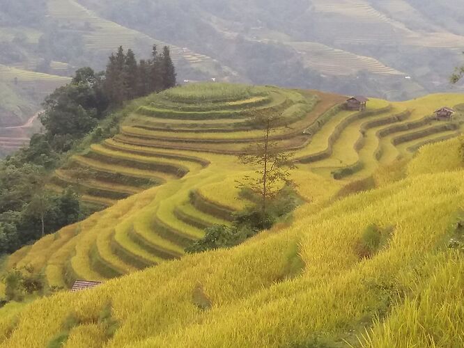 Re: Sapa ou Ha Giang ? - remyber