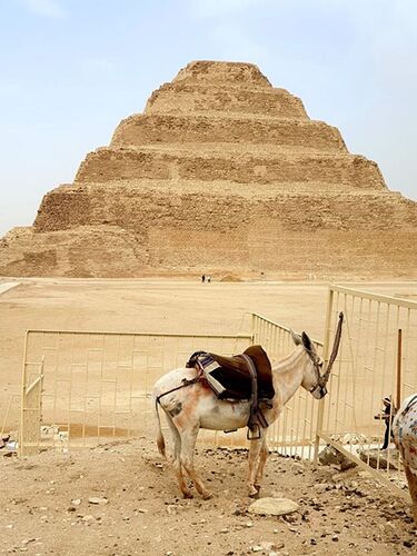 Re: Retour d'Egypte et avis sur l'agence Terra Trip - marieludivine