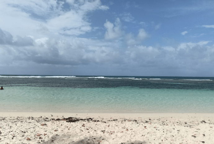 Re: Sargasses Guadeloupe  - Frederic-Maillot