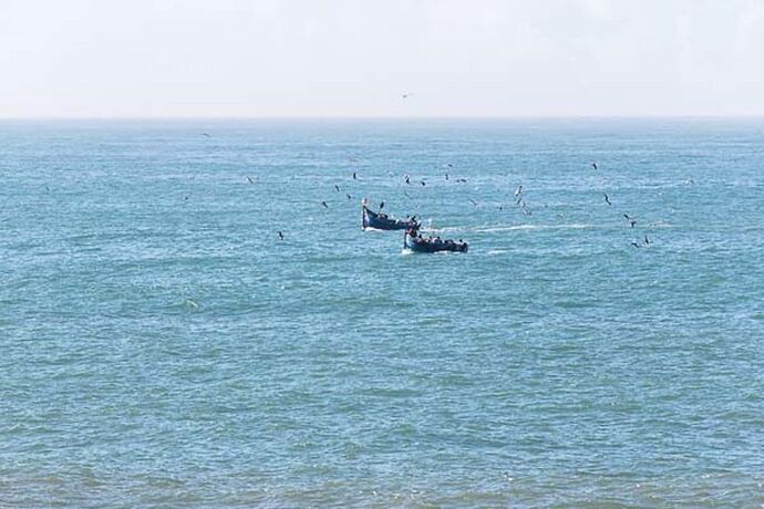 5 jours à Essaouira, une des perles de l'Atlantique, récit et photos - Sonia-Fatima Chaoui