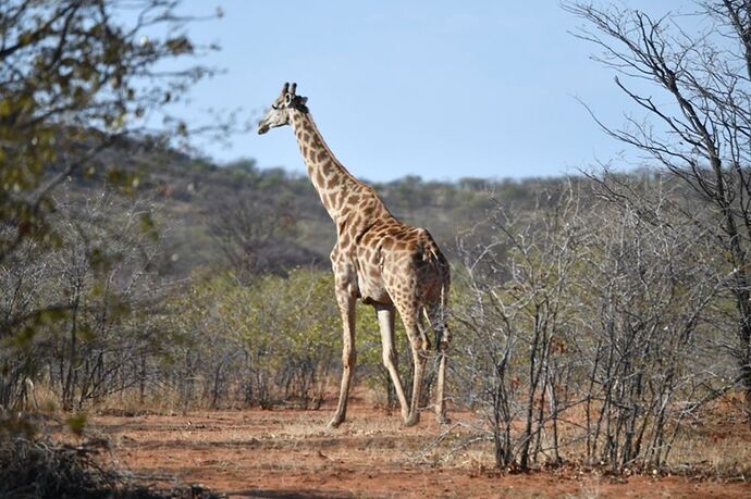 Re: Namibie - 15 jours en octobre 2018 - pascal41lc