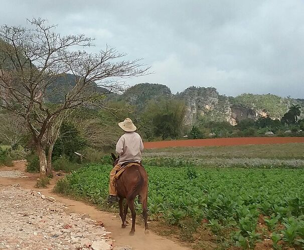 à Viñales  - jbf