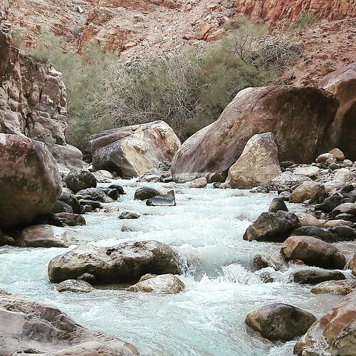 Re: Wadi Mujib avec enfants - Salsifi-Papillon