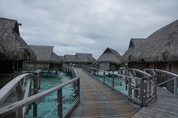 Retour sur découverte de Moorea 1 - cartesien