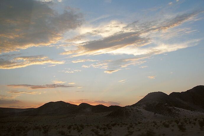 les serpents à sonnettes dans le désert de Mojave  - Hiacinthe