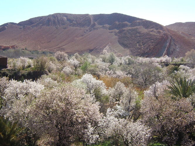 la vallée des amandiers - Milouxx