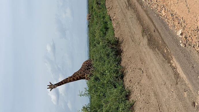 Re: Waltz Tours Safaris au Kenya - Ralph-Delcourt