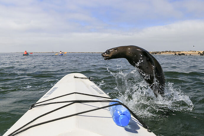 Walvis Bay - Millie