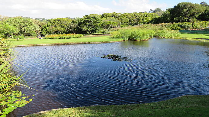 Les jardins de Kirstenbosch  - PATOUTAILLE